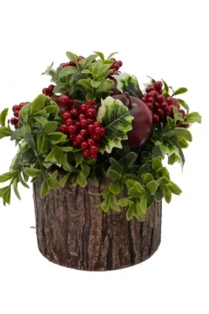 Ultime Pezzi Pianta con bacche e mele rosso