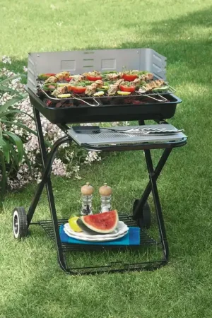 Barbecue a Carbone Carbonella Pieghevole in Acciaio Ranieri Clic Clac Bestseller