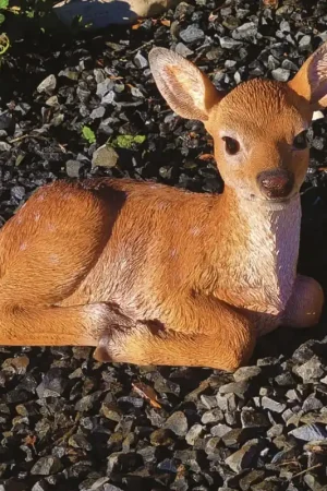 A Buon Prezzo Bamby Cucciolo Decorativo in Resina 28x17 cm per Laghetti e Giardini